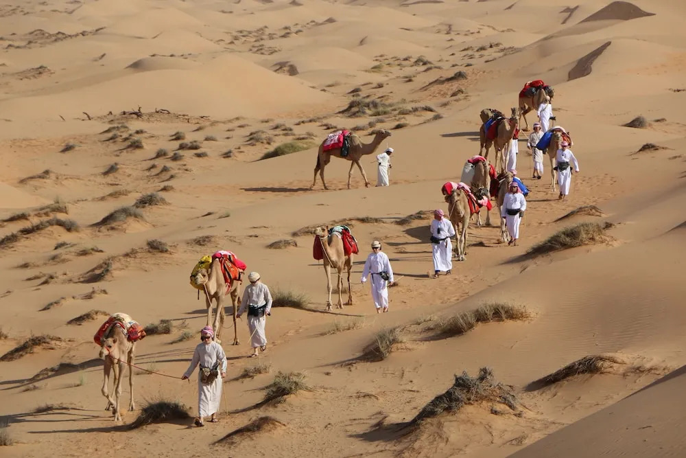 Silent Dunes Camp