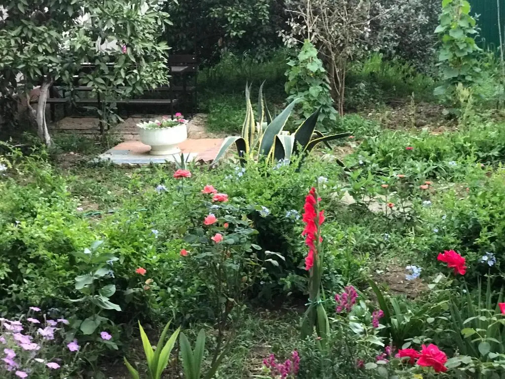 Guest House on Demerjipa