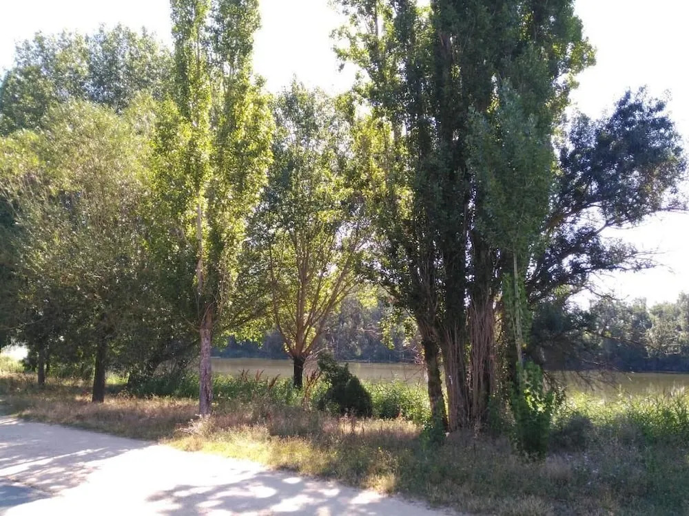 Zamora Apartments