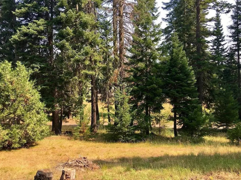 Whispering Pines Cabin Retreat