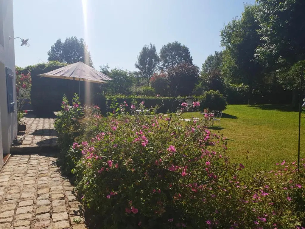Le champ de leau