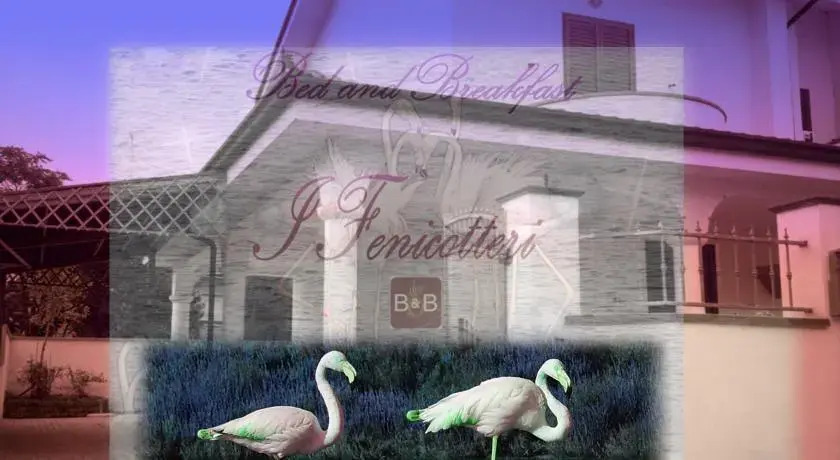 B&B I Fenicotteri
