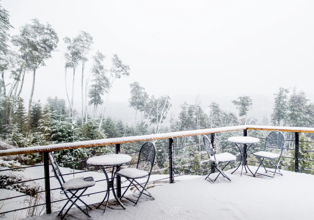El Bosque by DOT Tradition