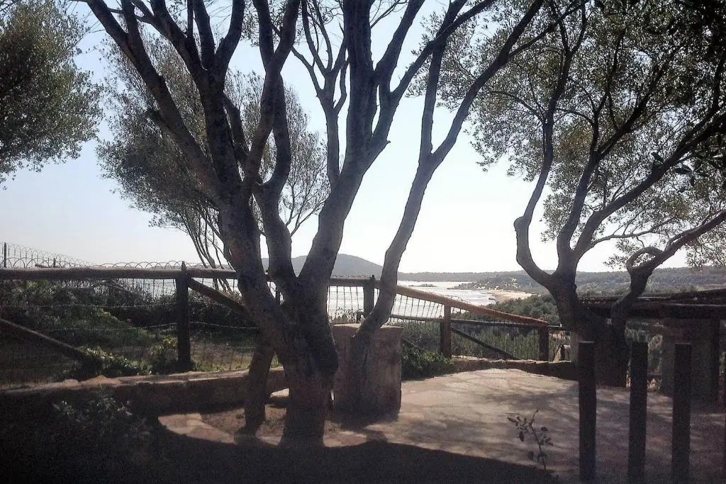 Casa Vacanze Is traias 87