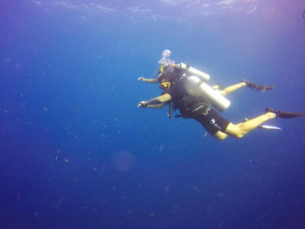 DPM Koh Tao Diving Hotel & Bar