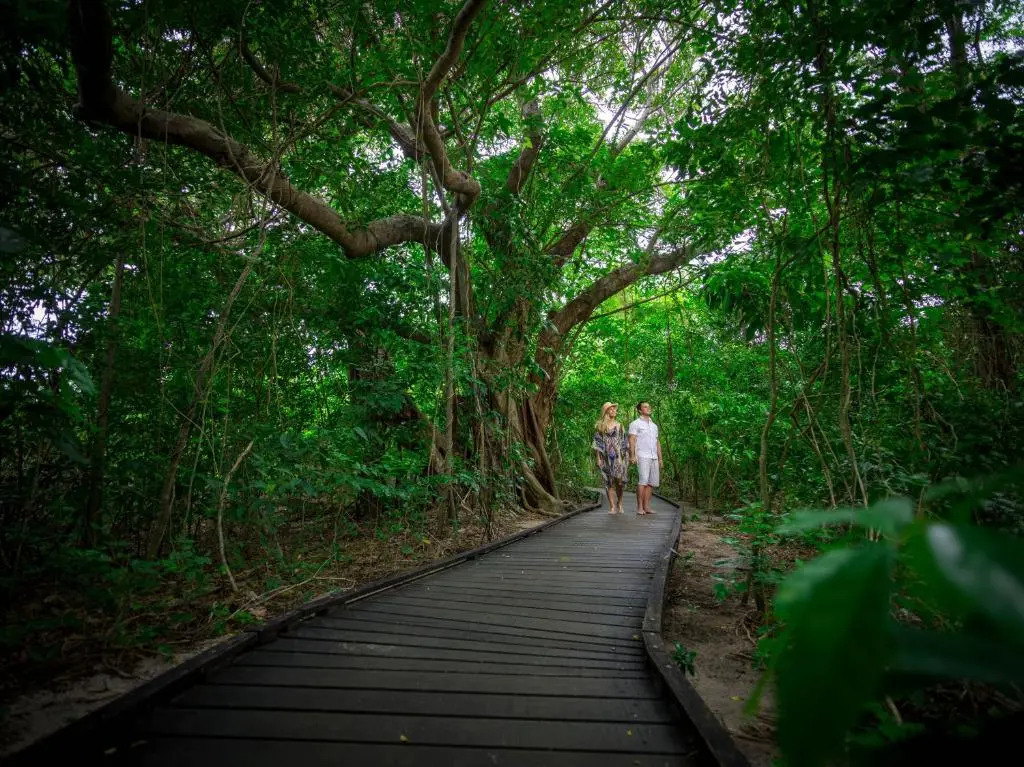 Green Island Resort