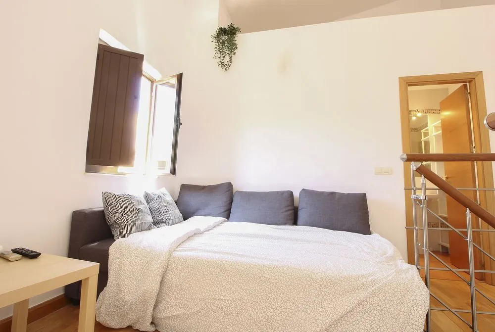 Deluxe Apartment Parras