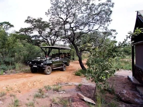 Wild Ivory Eco lodge