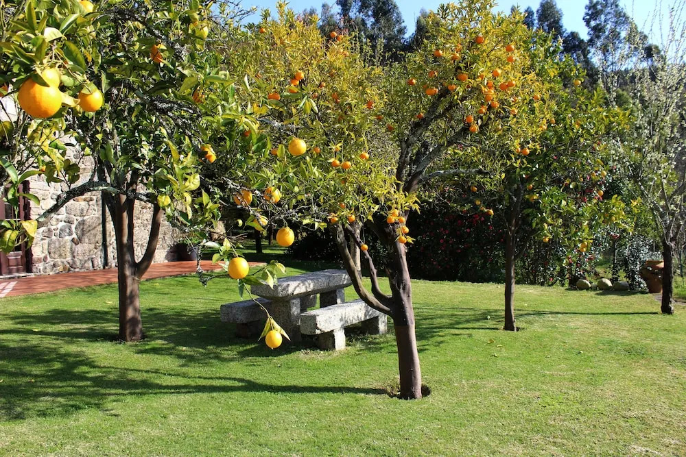 Quinta do Sardão