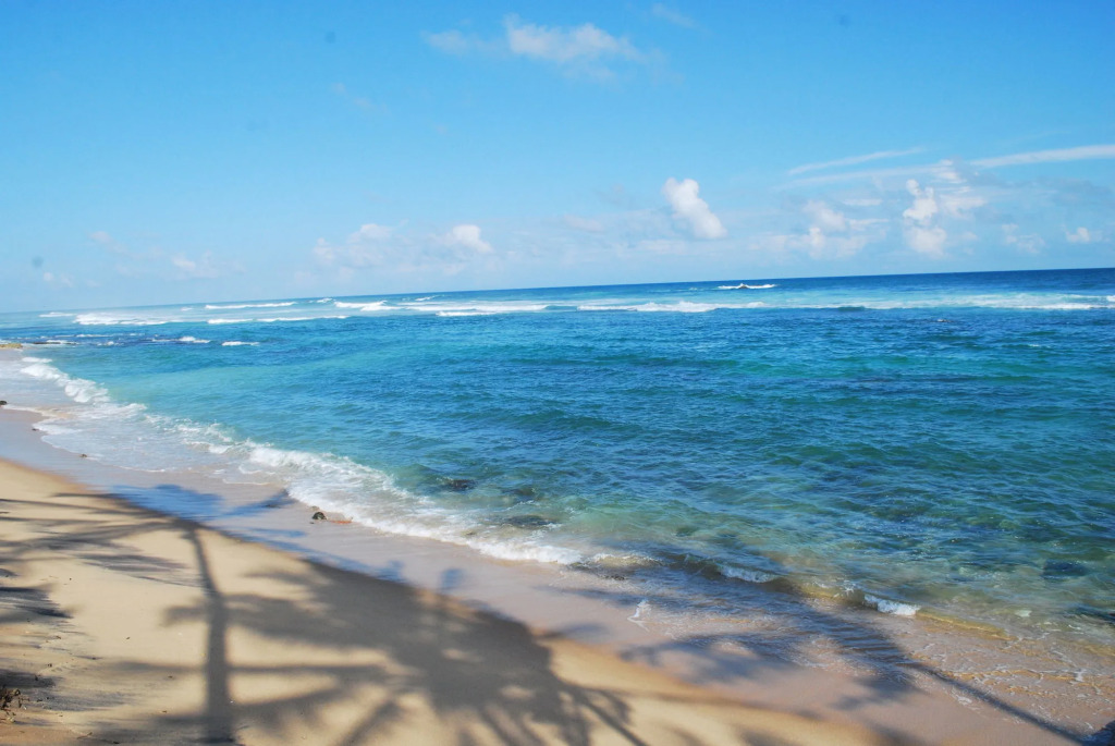 Paradise Beach Resort & Diving school