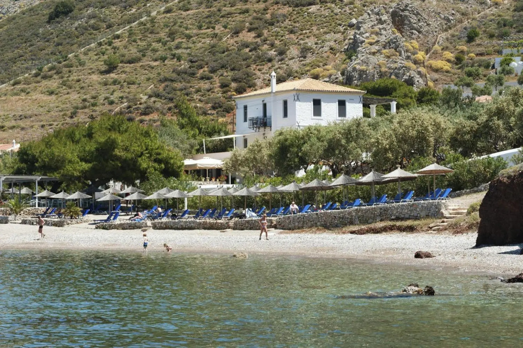 Bellevalia Hydra