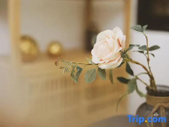 Ruoshanbei Homestay