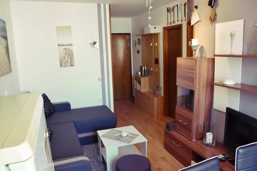 Apartment Živković