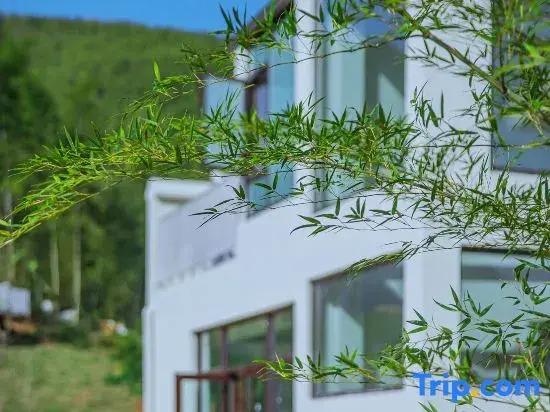 Zhaocunli · Shanshe Yasu Homestay (Yuanyang Bay Scenic Area)