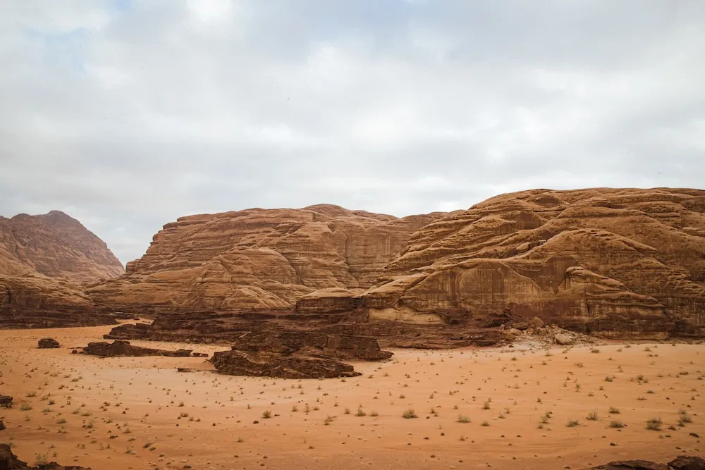 Palmera Camp Wadi Rum