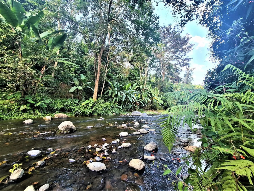 Holiday cottage by the river, Arusha