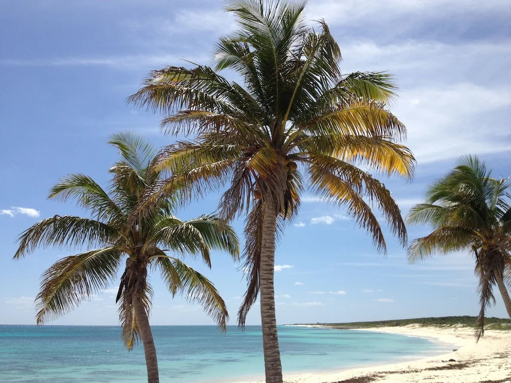 Furnished Apartments in Cozumel