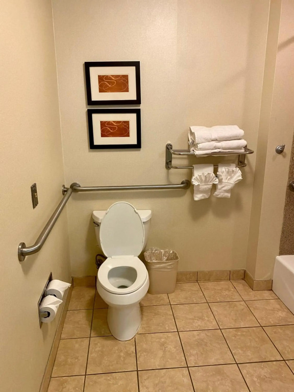Comfort Suites Rock Hill Manchester Meadows Area