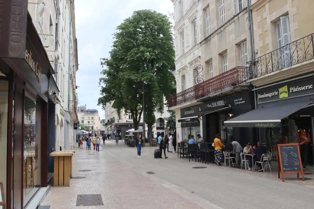 Chambres Poitiers Centre Ville - Salle de Bain, Réfrigérateur, TV et machine à café privatifs - Cuisine commune - Terrasse - Hôtel de ville à 200m