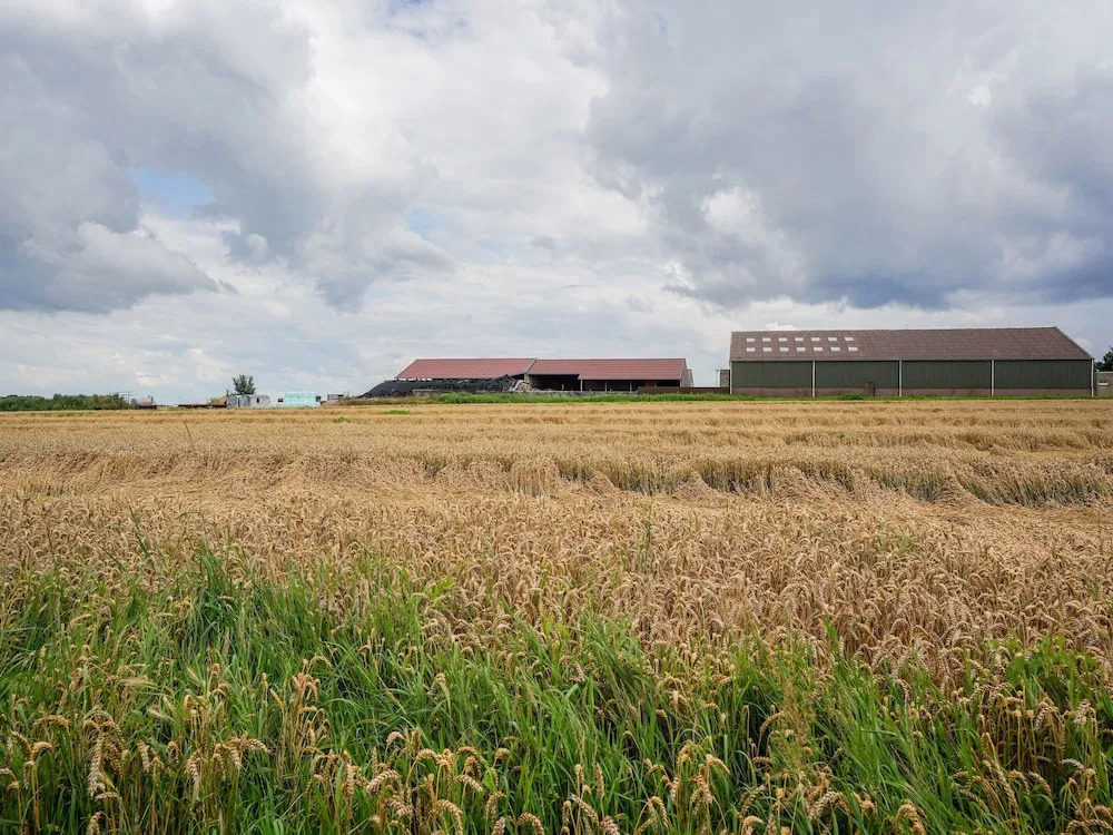 Bungalow in Landgraaf With Terrace