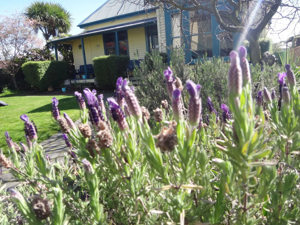 The Old Countryhouse