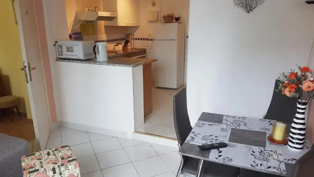 Apartment Mir