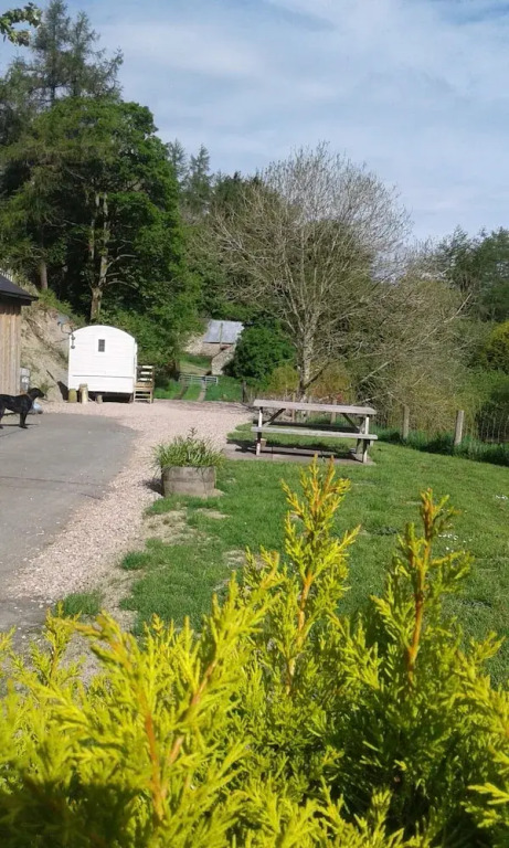 The Shepherd's Hut