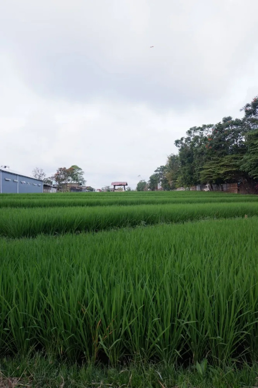 Tegal Sari Villa