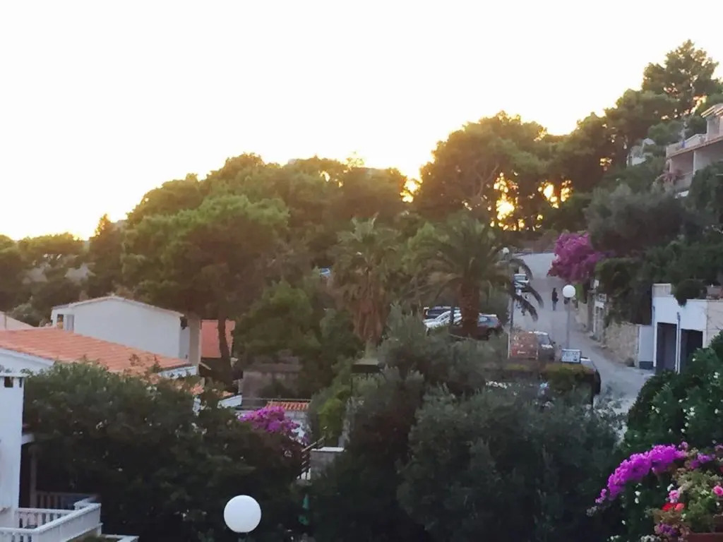 Apartments Zamicka