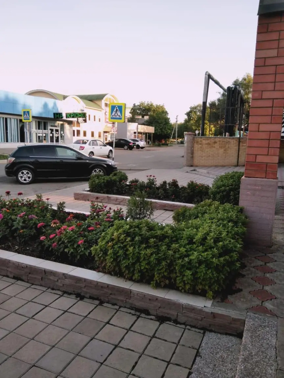 Кедр