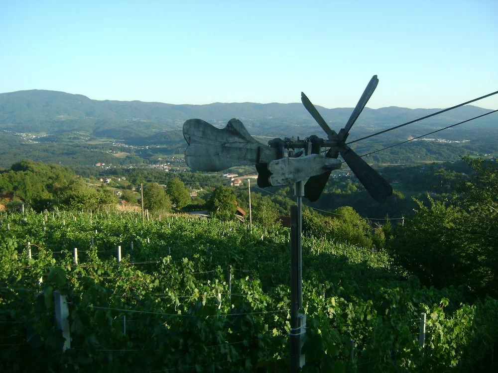 Vineyard cottage Med vinogradi