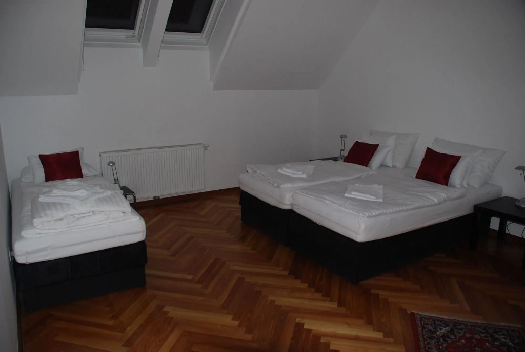 Heart of Vienna with Aircondition
