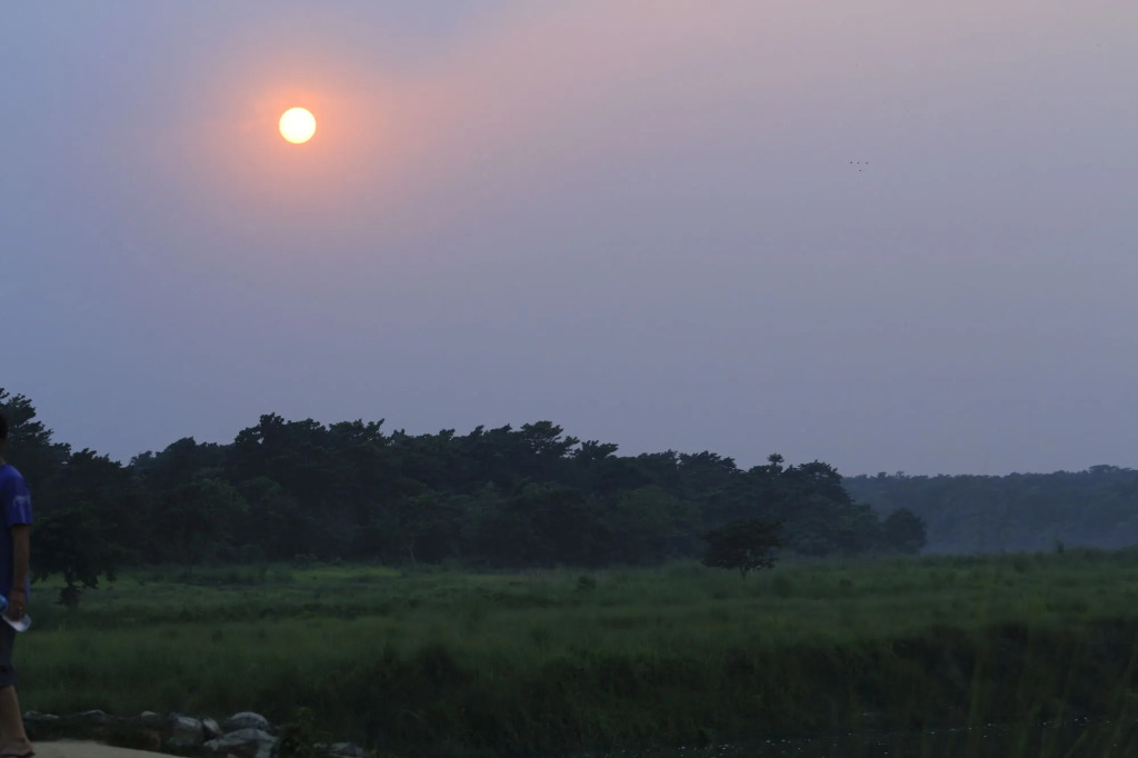 Chitwan Safari Resort