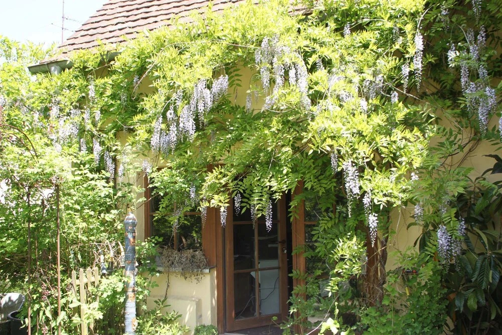 Vogtshof Rottweil