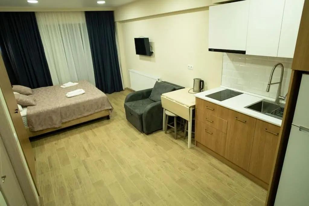 LEO GROUP Luxury Apartment 0220 BAKURIANI INN