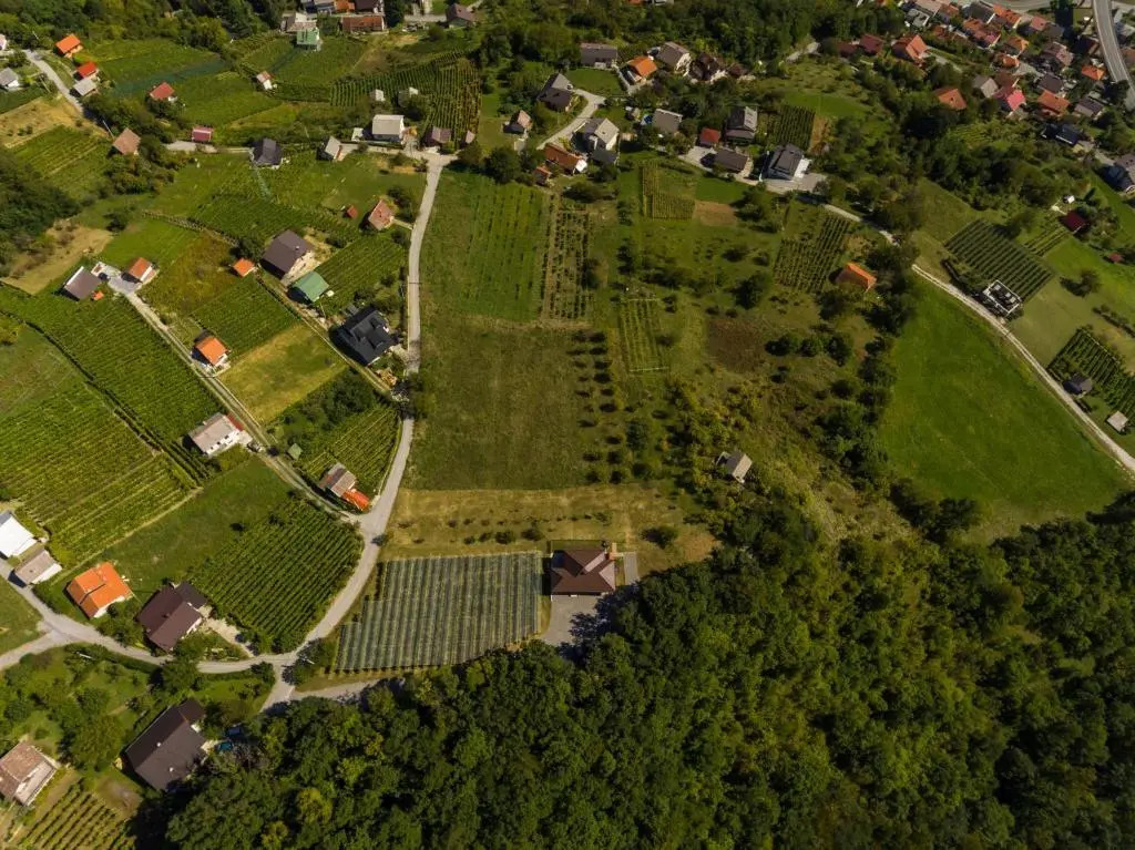 Apartmani Petra i Tea