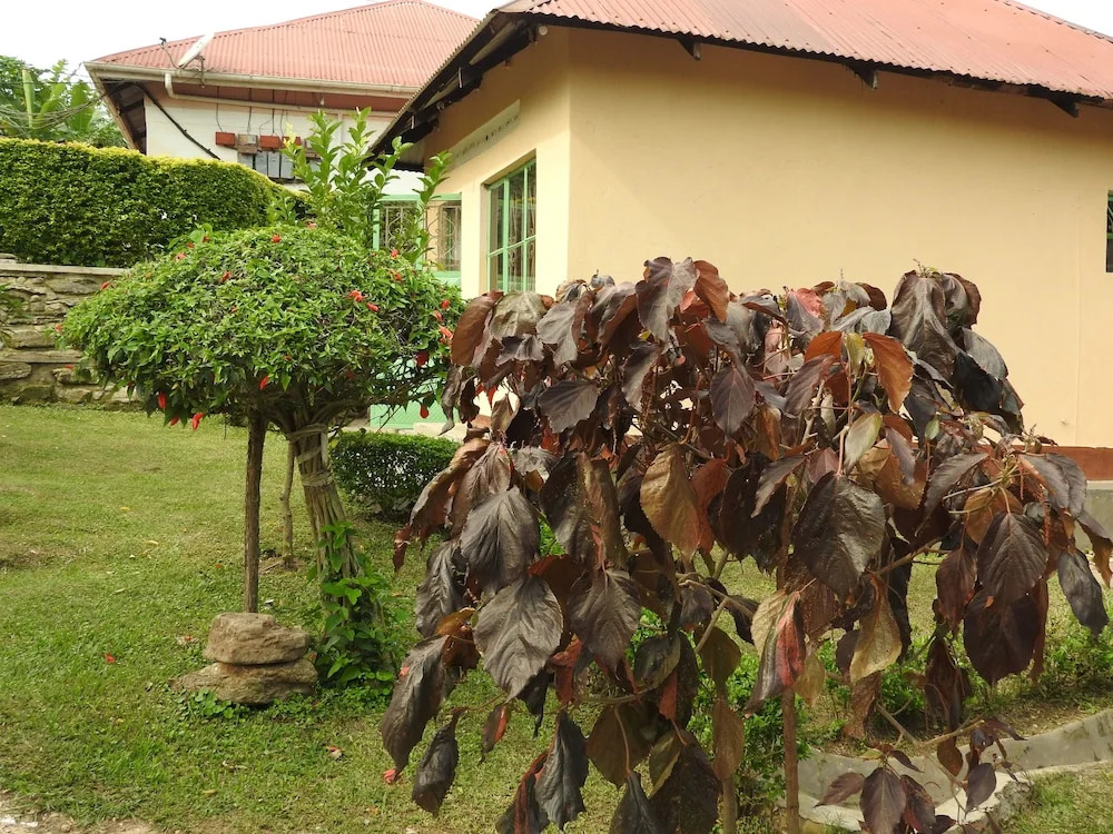 Green Village Apartments