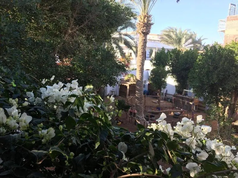 Sunrise Dahab Camp
