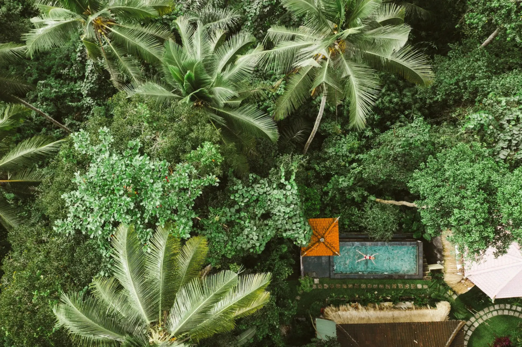 The Nest in Ubud