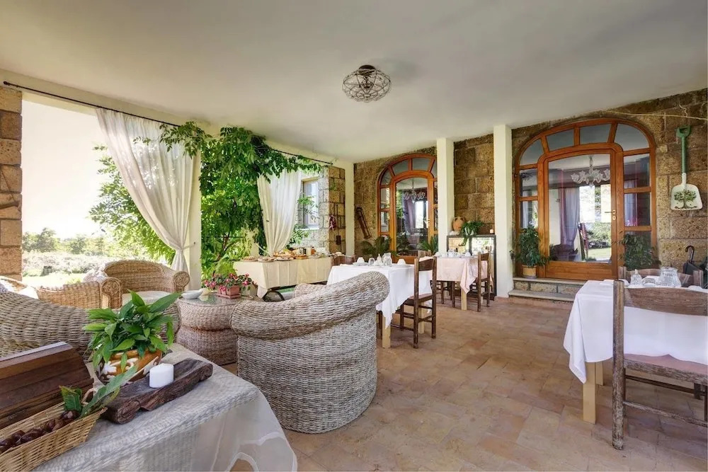 B&B Nocifazino