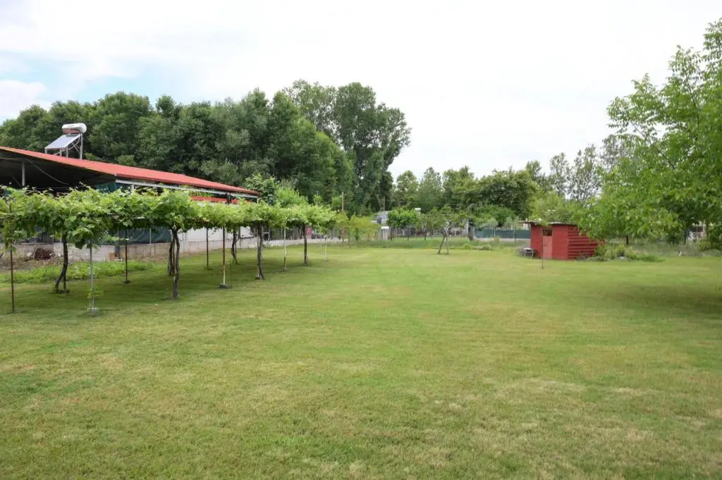 Prionas Studios
