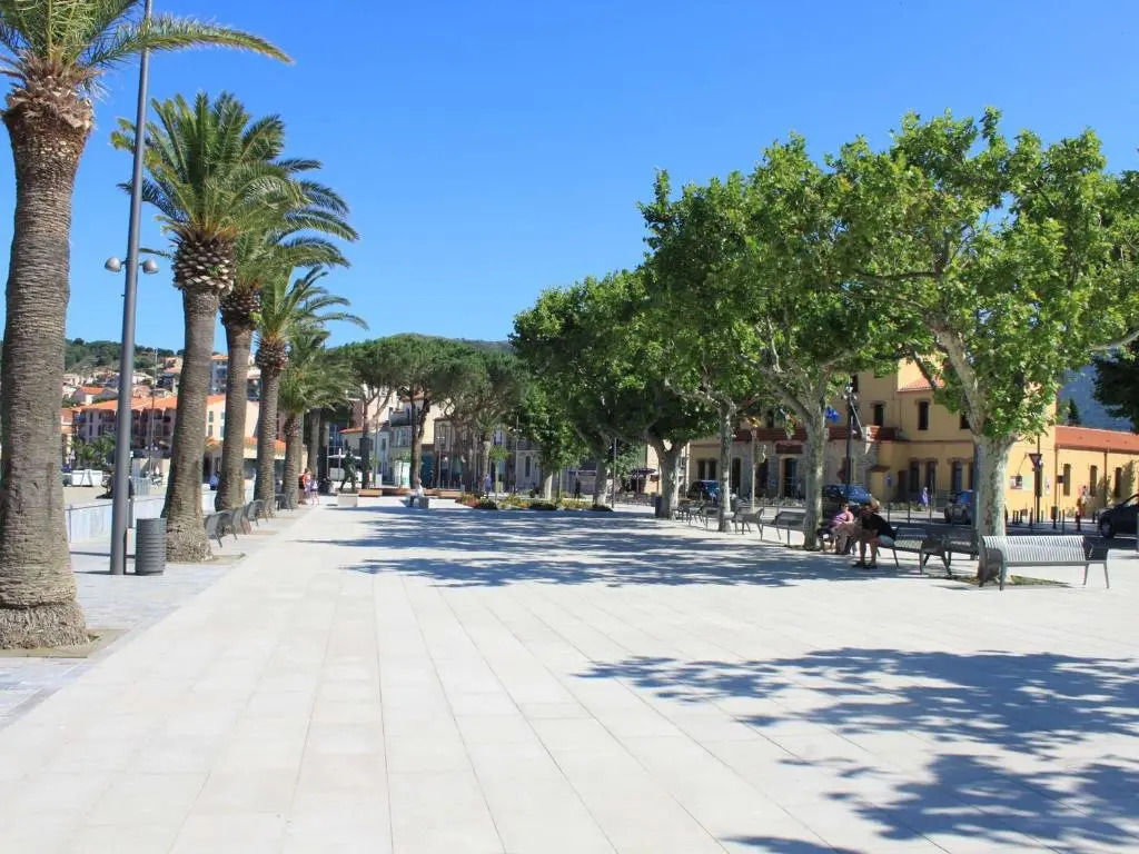 Appartement Banyuls-sur-Mer, 1 pièce, 4 personnes - FR-1-225C-75
