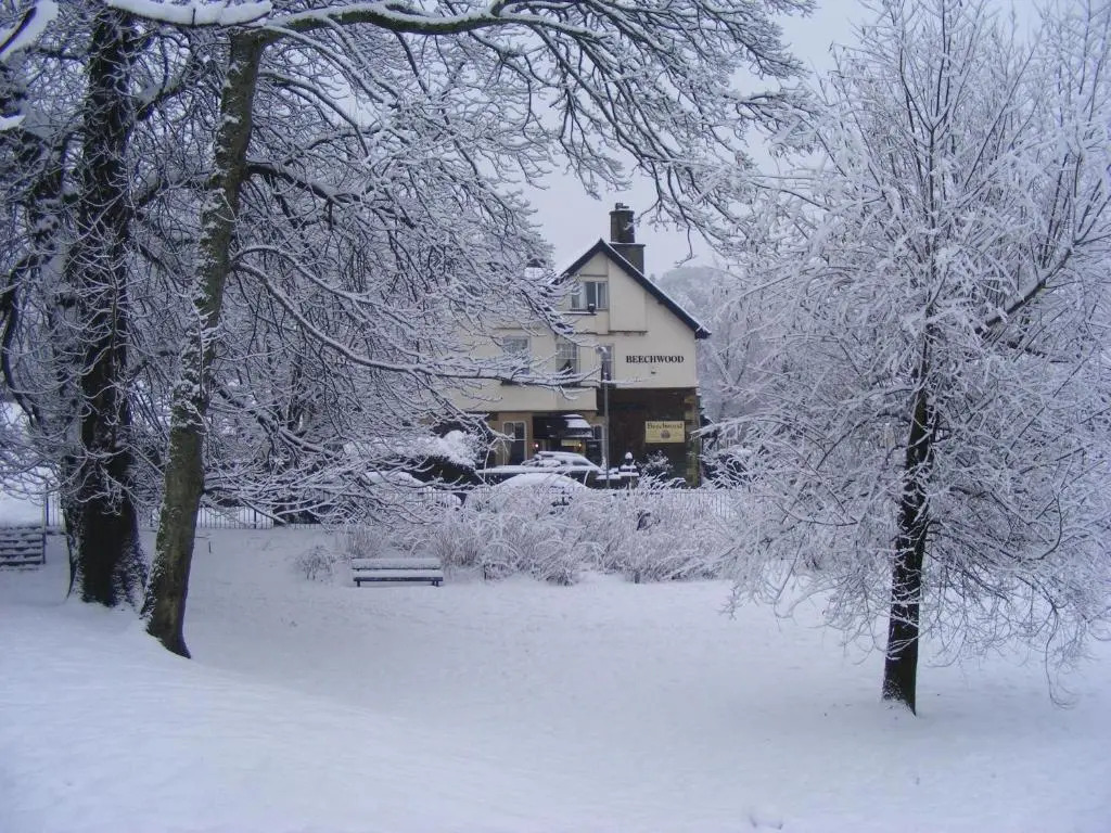 Beechwood