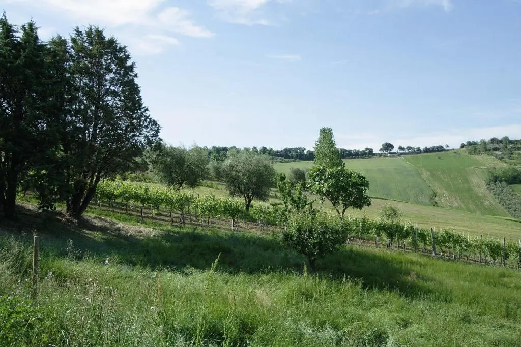 Country House La Madonnina