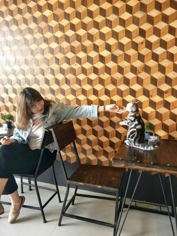 Jaidee Cafe & Hostel Chiangrai