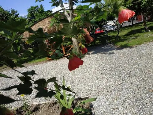 Kolkhi Guest House