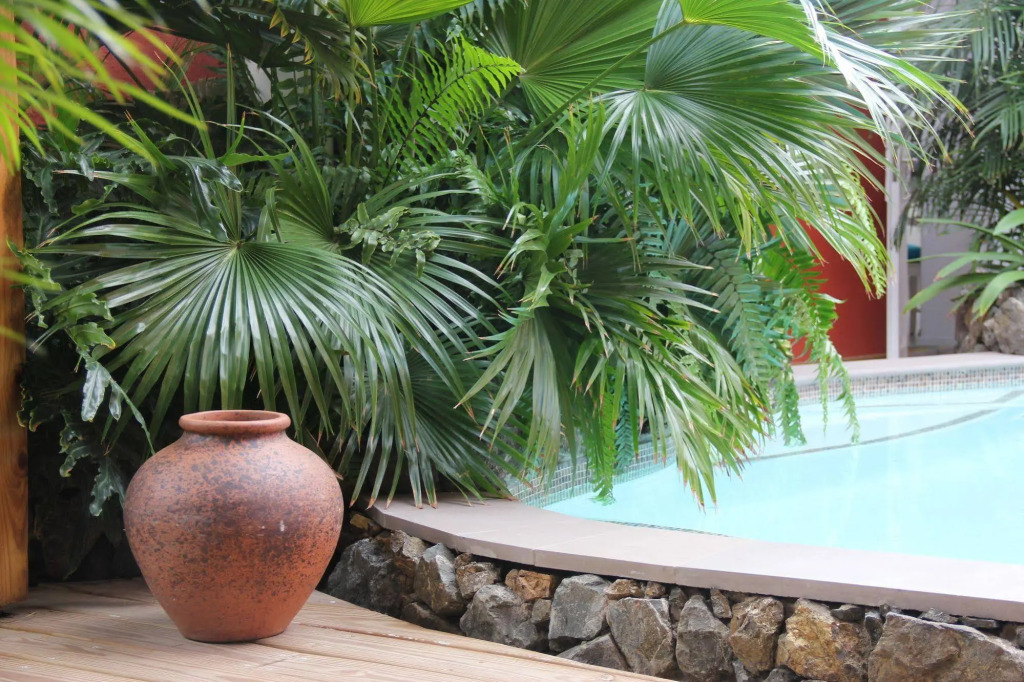 Curaçao Gardens