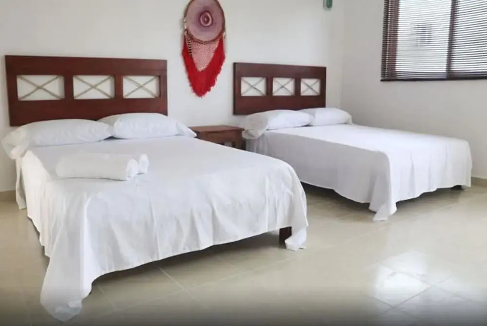 Flamingos Hostel