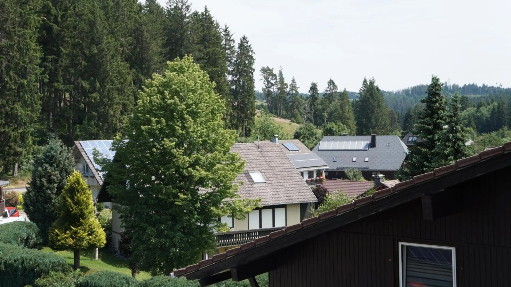 Waldblick