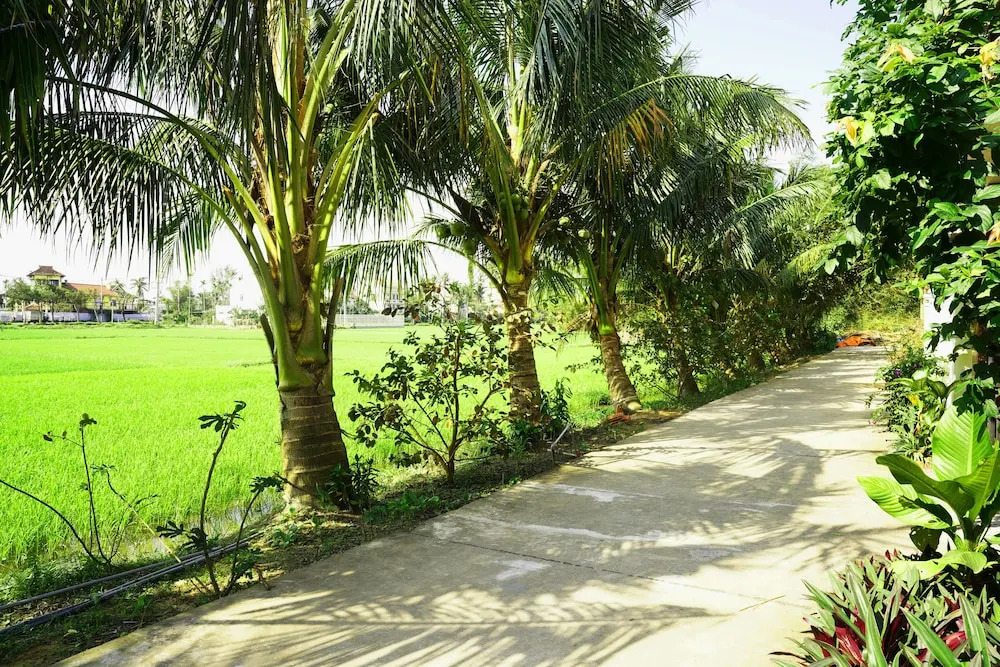 Hoang Y Homestay